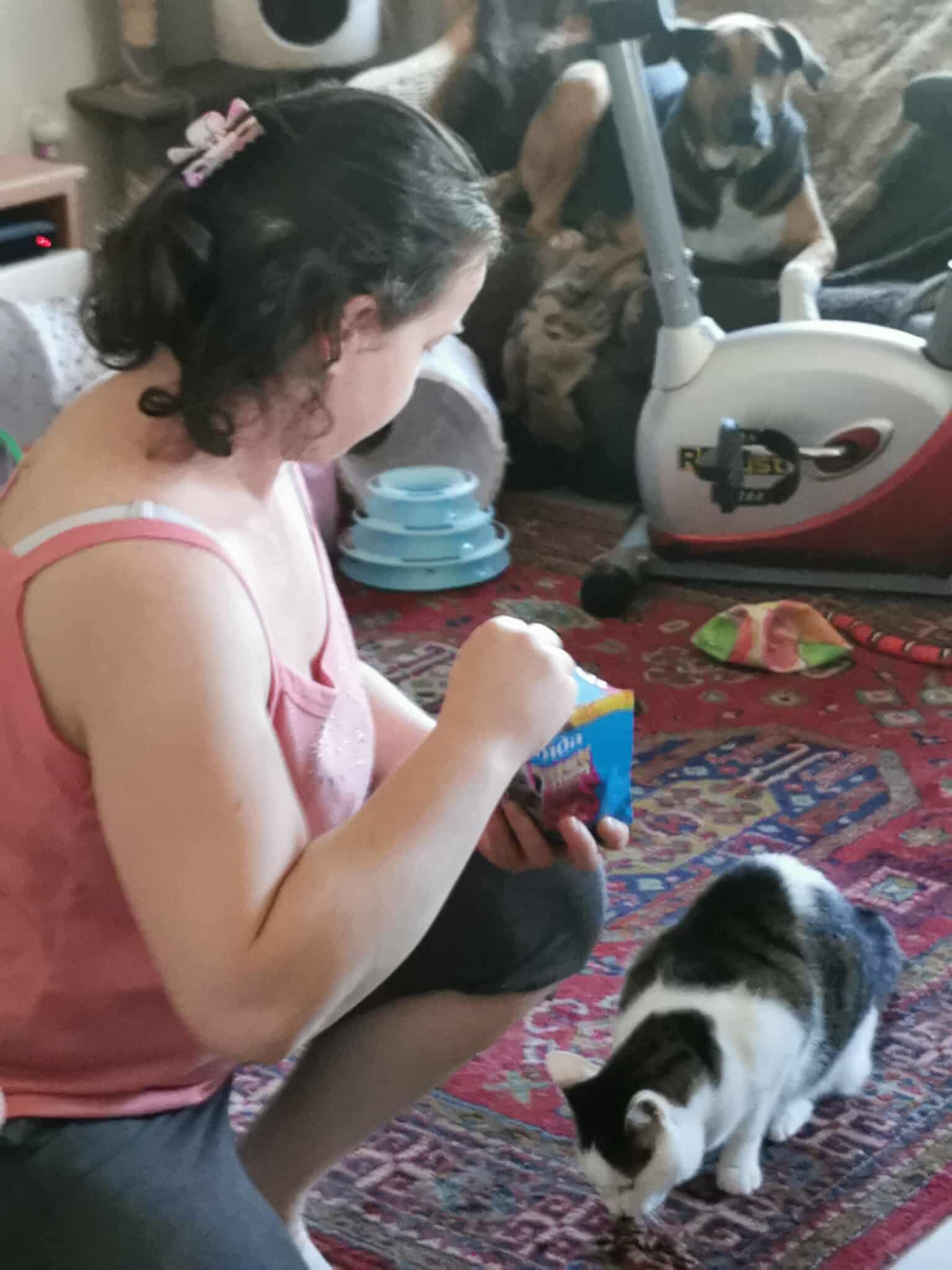In het kattenasiel